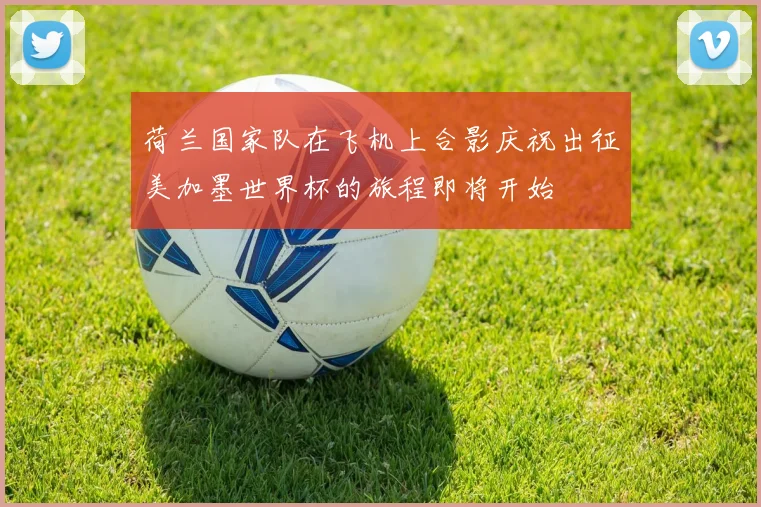 荷兰国家队在飞机上合影庆祝出征美加墨世界杯的旅程即将开始